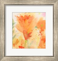 Framed Windblown Poppies #2