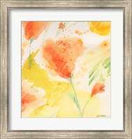 Framed Windblown Poppies #3
