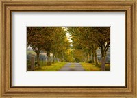 Framed Colors of Autumn