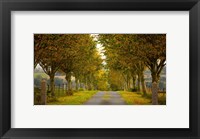 Framed Colors of Autumn