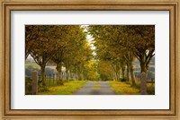 Framed Colors of Autumn