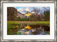 Framed Mother's Tree