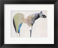 Framed Horse No. 33