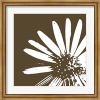 Framed Graphic Flower 2