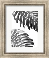Framed Double Philodendron (BW)