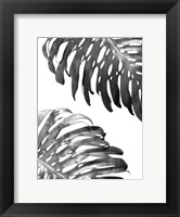 Framed Double Philodendron (BW)