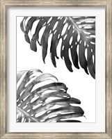 Framed Double Philodendron (BW)