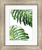 Framed Double Philodendron (color)