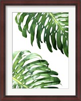Framed Double Philodendron (color)