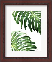 Framed Double Philodendron (color)