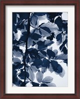 Framed Indigo Leaves