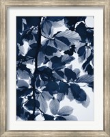 Framed Indigo Leaves