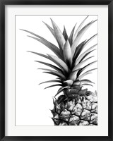 Framed Pineapple (BW)