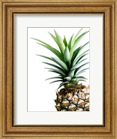 Framed Pineapple (color)