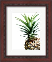 Framed Pineapple (color)