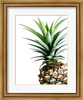 Framed Pineapple (color)