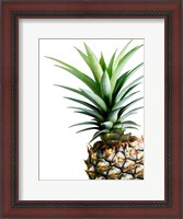 Framed Pineapple (color)