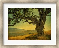 Framed Blue Oak Hilltop