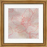 Framed 'Anemone II' border=