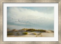 Framed Dunes 1