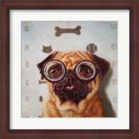 Framed Canine Eye Exam