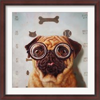 Framed Canine Eye Exam