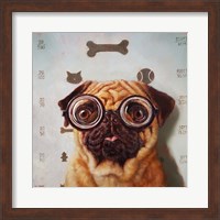 Framed Canine Eye Exam