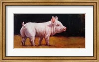 Framed Wilbur