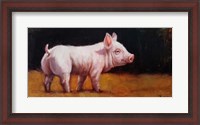 Framed Wilbur