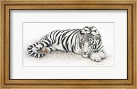 Framed Siberian Tiger