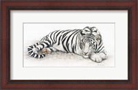 Framed Siberian Tiger