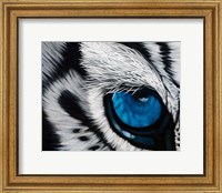 Framed Tiger Eye