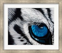 Framed Tiger Eye
