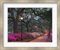 Framed Forsythe Park