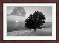 Framed Spitler Knoll Overlook