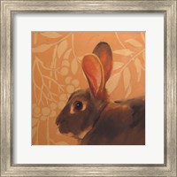 Framed Hare