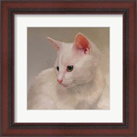 Framed White Kitten