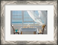 Framed Shell Collectors