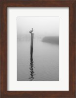 Framed On Pelican Marsh