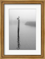 Framed On Pelican Marsh