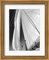 Framed Sailboat Sails Florida