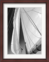 Framed Sailboat Sails Florida