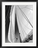 Framed Sailboat Sails Florida