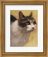 Framed Derby Cat