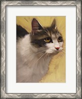 Framed Derby Cat