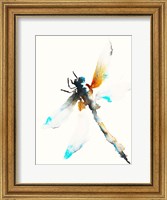 Framed Blue & Brown Dragonfly