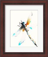 Framed Blue & Brown Dragonfly