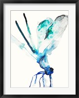 Framed Blue & Green Dragonfly