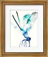 Framed Blue & Green Dragonfly