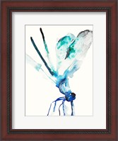 Framed Blue & Green Dragonfly